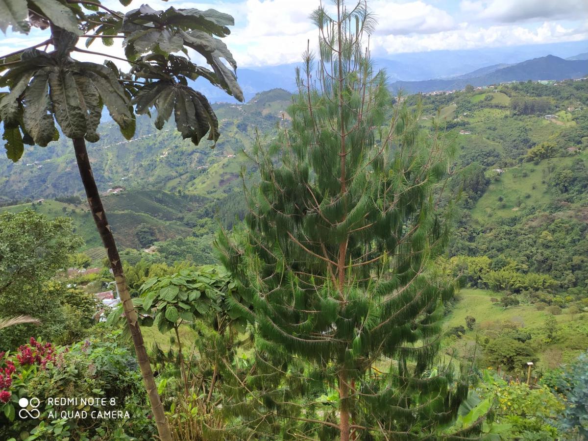 Mirador Finca Morrogacho Manizales Luaran gambar