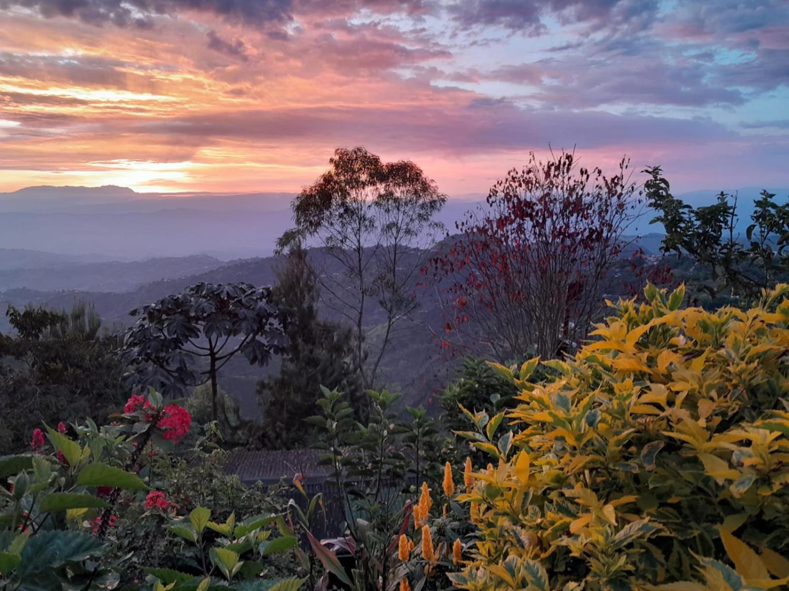 Mirador Finca Morrogacho Manizales Luaran gambar