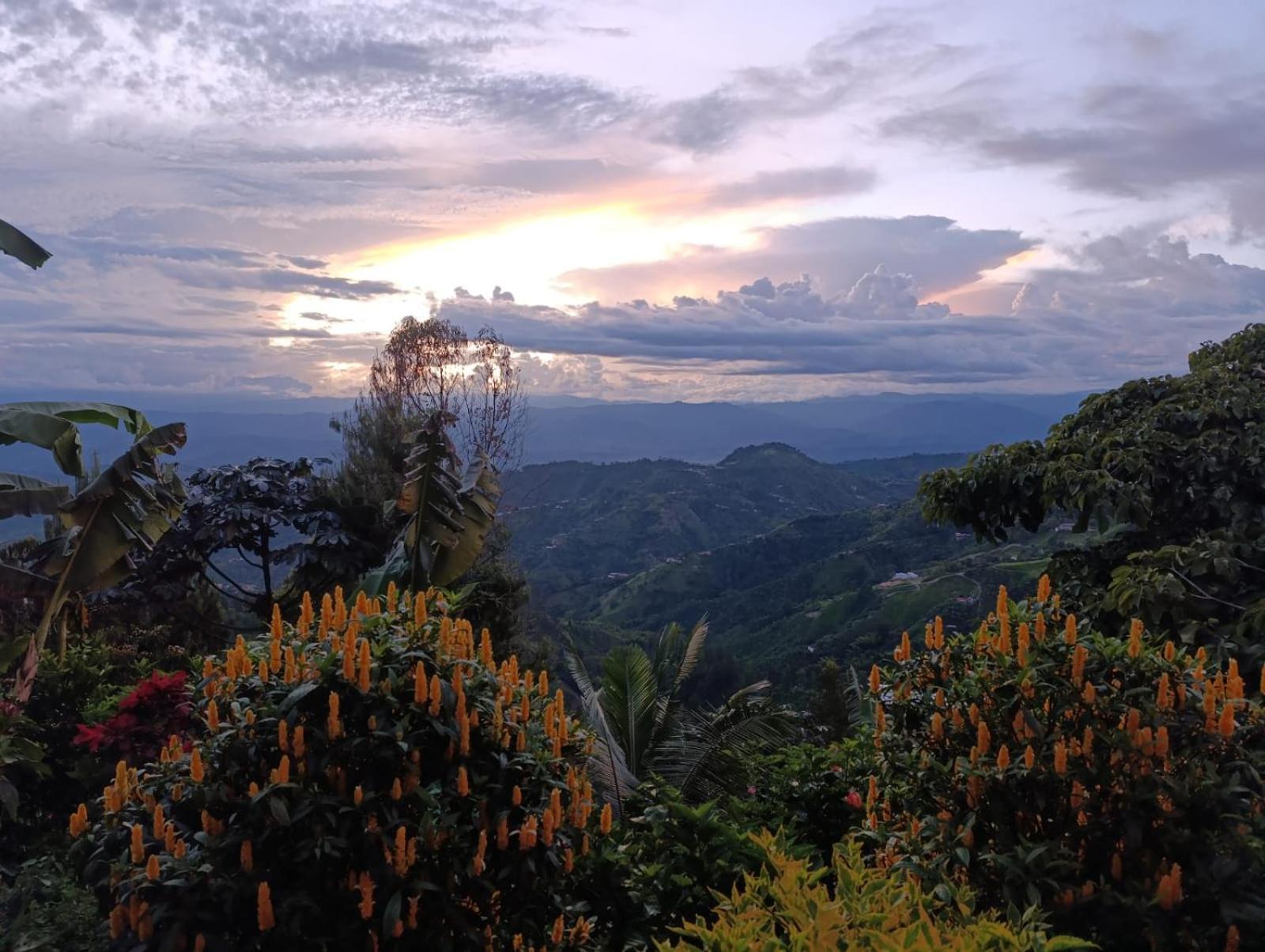 Mirador Finca Morrogacho Manizales Luaran gambar